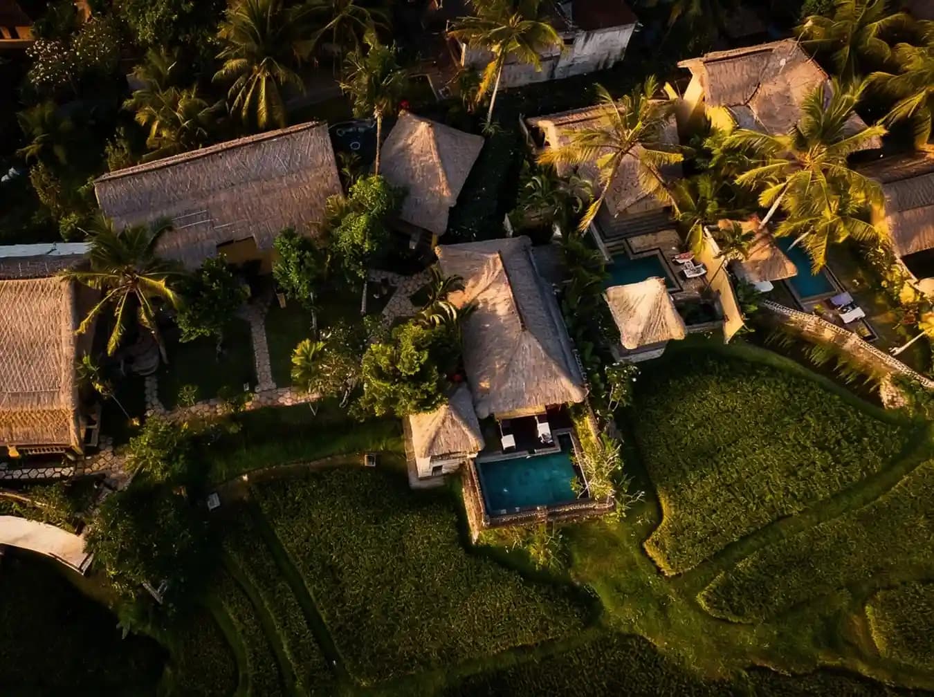 The Untold Bali media 6