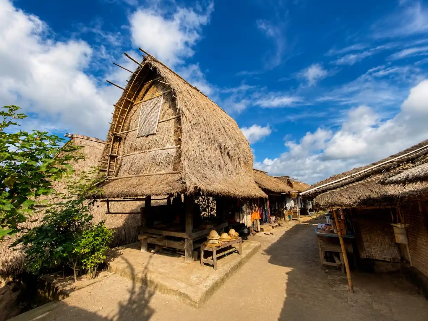 The Ultimate Lombok to Komodo media 4
