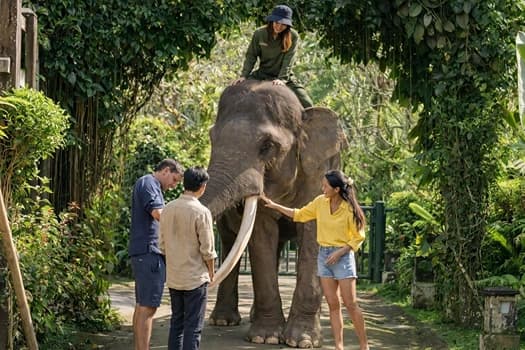 Bali: Sunrise to Sunset media 7