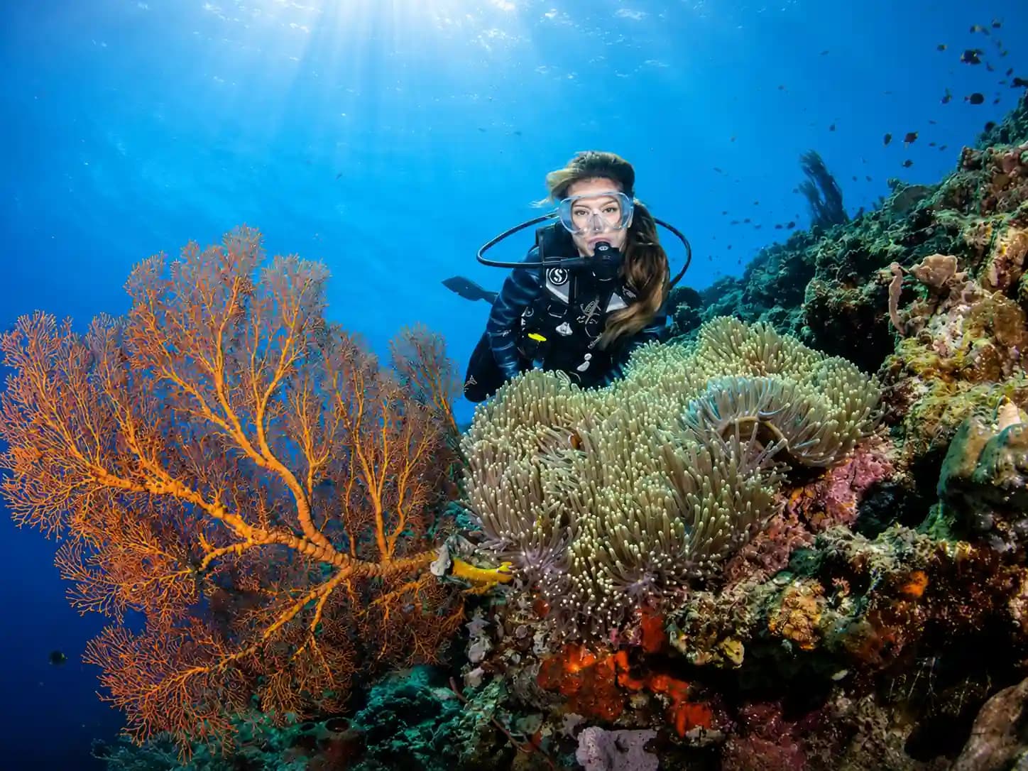 The Bali Archipelago media 7