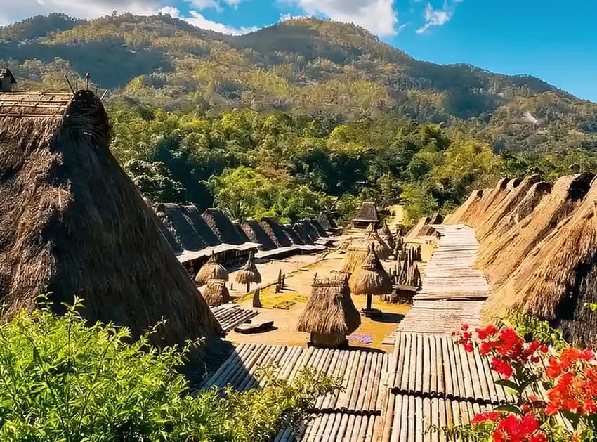 The Flores Bajo Odyssey media 5