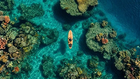 Bali: Where The Sea Holds
